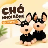 mua chó bông biết hát ở đâu